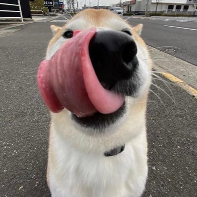 ai__kii's profile picture