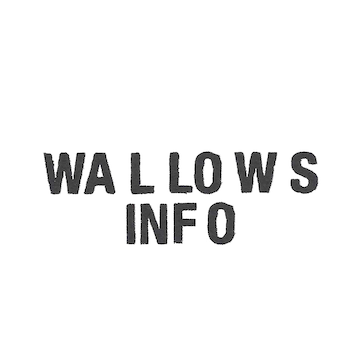 Wallows Info's profile picture