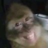 JOHN PAUL's profile picture