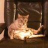 Christwocool's profile picture
