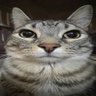 Profilbild von Becam Erick