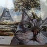 Catz 的头像