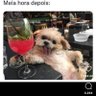 Balerionnn's profile picture