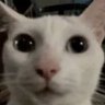 Profilbild von Namelesss2024