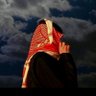 مــحــمــد🕊️'s profile picture