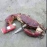 w0zr0b ๐ณ๏ธโ๐๐ณ๏ธโโง๏ธ๐'s profile picture
