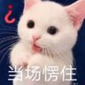 许尽欢 profil fotoğrafı