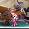 Фото профиля PAW Aviation