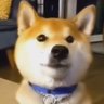 Imposter 🐕's profile picture