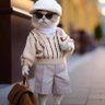 Raheem Habeeb's profile picture