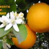 59ALABAMA profil fotoğrafı