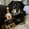 Ilargi 🌙 的头像