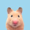 Profilbild von はるひろ