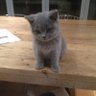 JDB's profile picture