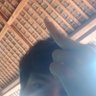 tidak boleh kosong's profile picture