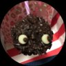 Profilbild von 口耳🐾