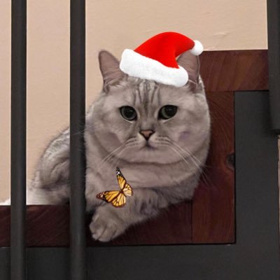Olaf's profile picture