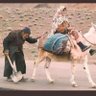 غسان ابو الرب's profile picture