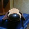 Mr.カモノハシ's profile picture
