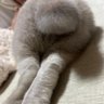 love♡kai profil fotoğrafı