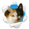 Profilbild von テキスト 88