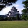 tsuji 的头像