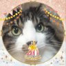 じゅんべ's profile picture