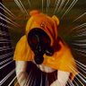 ひろ＠2軍のファンタジスタ's profile picture