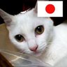 梅子の母ちゃん Umeko's mom season3 的头像