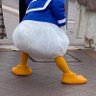 カサハリ 的头像