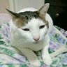 まぁぁあ 的头像