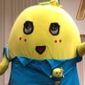 ゆのみー〔今半弁当ゆのみー)💙🐴's profile picture