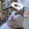 Profilbild von きくち