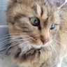 Фото профиля ｱｲﾉ😻ﾐﾁ