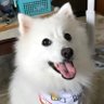 Profilbild von shiro maru