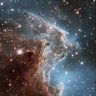 Фото профиля 星屑