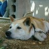 Nemo's profile picture