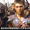 萧萧落叶's profile picture