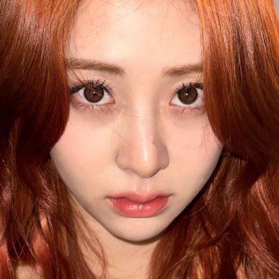 푸딩담이 ۶ৎ's profile picture