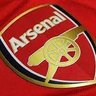 Arsenal in the blood profil fotoğrafı
