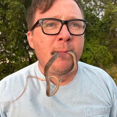 theScantman's profile picture