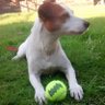 Steven glyndwr1 profil fotoğrafı