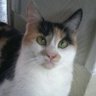 Marie allias Mappy's profile picture