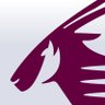 Qatar Airways 的头像