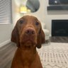 John Lee profil fotoğrafı