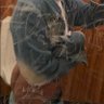Bro2BroBk's profile picture