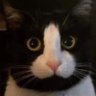 Whis Craddle profil fotoğrafı