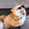 狐のルーシャス 的头像