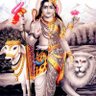 Radhey Shyam 的头像