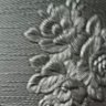 Tabassum 的头像